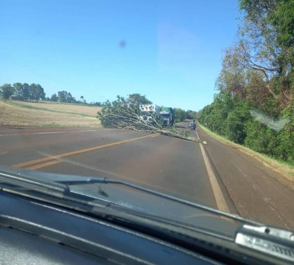 Estradas vicinais são interrompidas por terra e tronco de árvore, em Três de Maio - foto 3