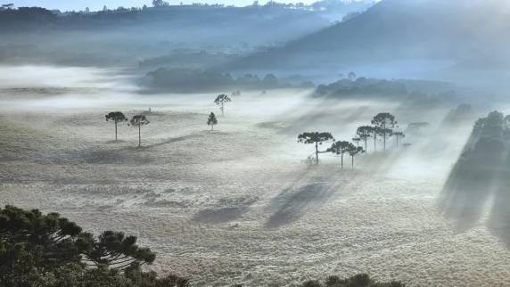 Fenômeno foi registrado no Vale do Caminhos da Neve e deixou a vegetação coberta de gelo nas primeiras horas manhã desta sexta-feira (4).