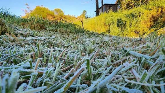 Fenômeno foi registrado no Vale do Caminhos da Neve e deixou a vegetação coberta de gelo nas primeiras horas manhã desta sexta-feira (4).