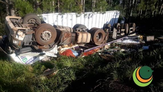 Carreta sai da pista e capota às margens da RS-135 em Coxilha - foto 2