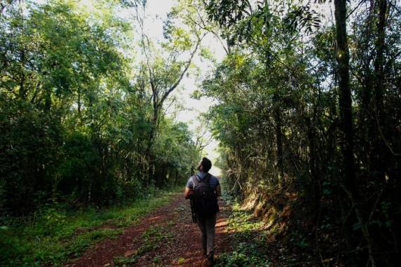 Jovem cataloga mais de 270 aves na região de Santa Rosa - foto 2