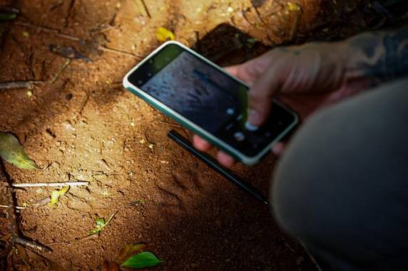 Jovem cataloga mais de 270 aves na região de Santa Rosa - foto 4