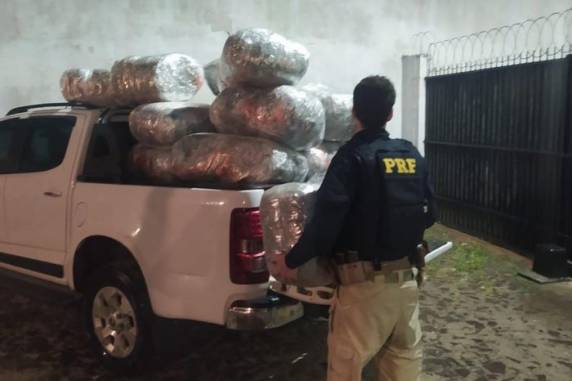 Condutor que transportava a mercadoria foi preso na BR-101