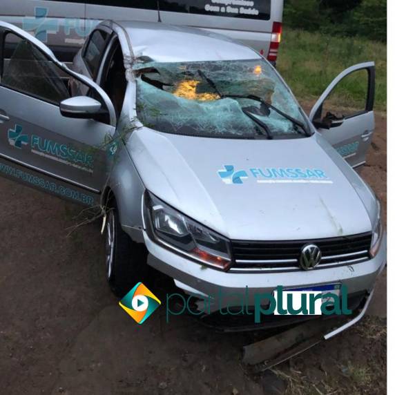 Indícios são de que a árvore foi cortada com uma motosserra ficando sobre parte da pista de rolamento