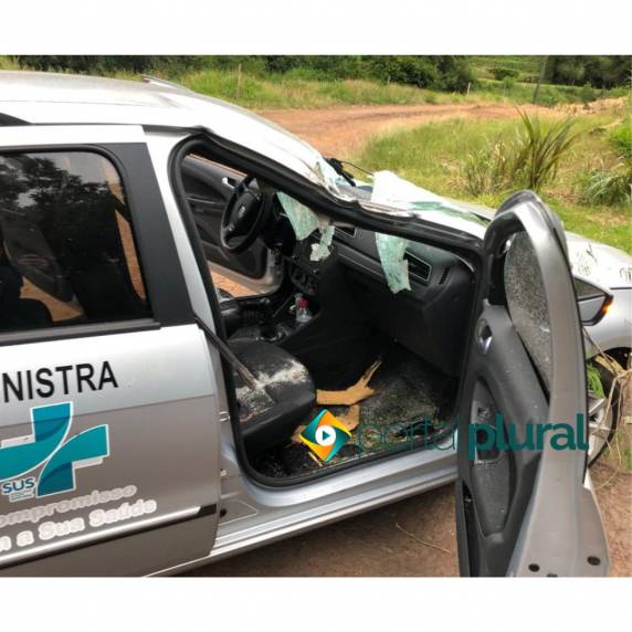 Veículo da FUMSSAR de Santa Rosa bate contra tronco e galhos de uma árvore na BR-472 - foto 3