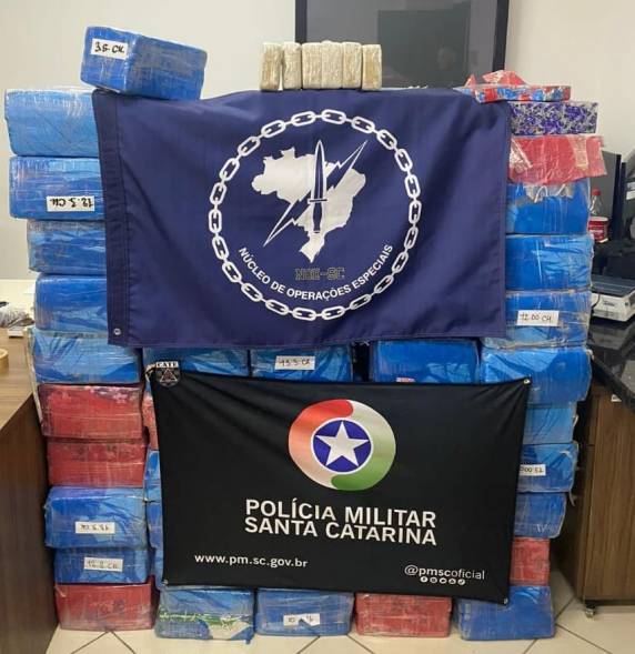 Dezenas de pacotes de drogas estão avaliados em R$ 1,5 milhão no mercado do crime.