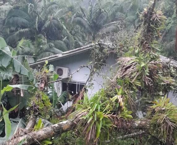 Chuva provoca deslizamentos, alagamentos e quedas de árvores em cidades de SC - foto 4