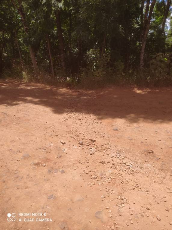 Munícipe reclama de situação da Rua Consolata, no entroncamento com a RS-342 - foto 2