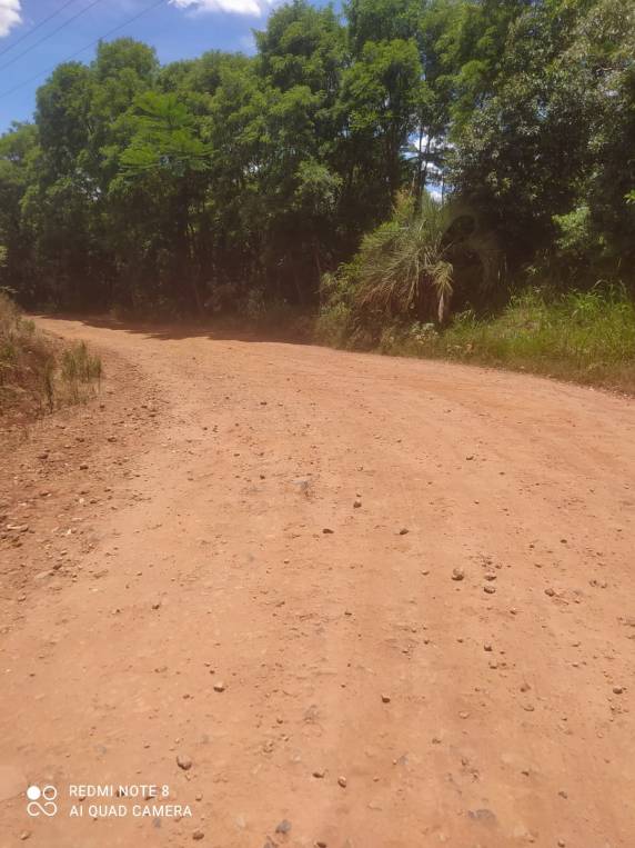 Munícipe reclama de situação da Rua Consolata, no entroncamento com a RS-342 - foto 4