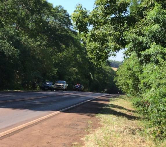 Engavetamento envolve três veículos na RS-344 em Santa Rosa - foto 4