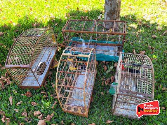 PC e BM cumprem mandados da operação ''Muro Negro'' em Três de Maio - foto 5