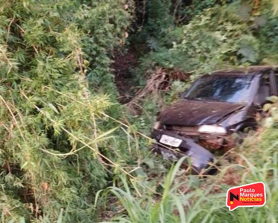 Saída de pista na RS-210 resulta em danos materiais - foto 3