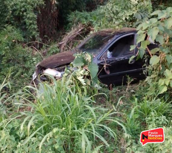 Saída de pista na RS-210 resulta em danos materiais - foto 2