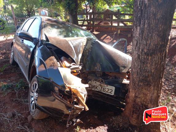 Veículo colidiu contra uma árvore na lateral da rodovia