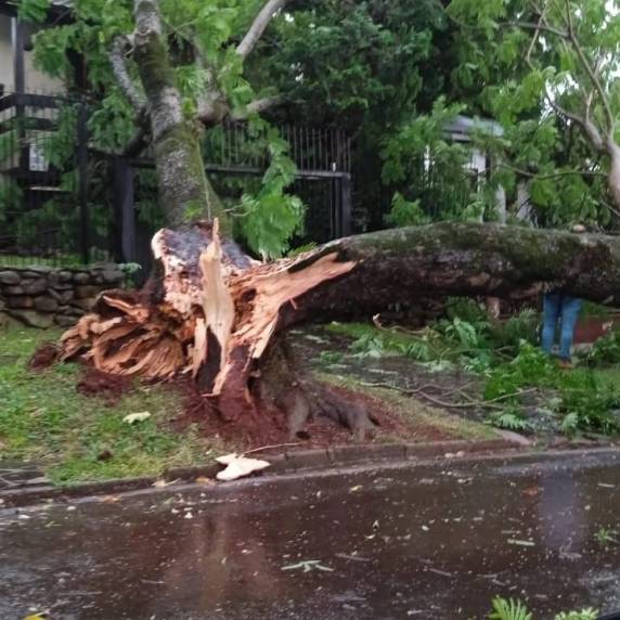 Chuva de granizo é registrada em Santa Rosa - foto 2