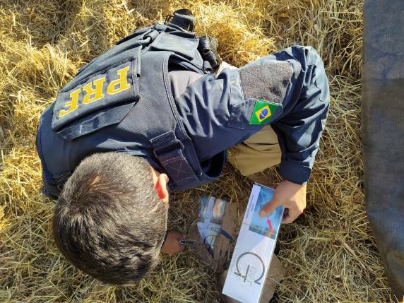 PRF apreende caminhão carregado com 350 mil maços de cigarros contrabandeados - foto 2