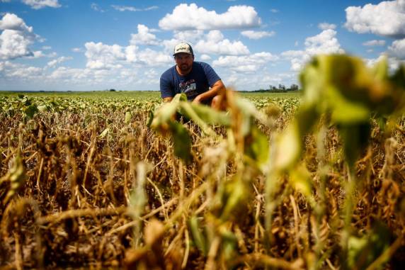 Há propriedades em que as perdas com a produção serão irreversíveis; principal reservatório do município, a barragem do Caponé poderá deixar de fornecer água até o dia 20