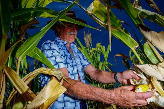 Em algumas propriedades, agricultores relatam perda total nas plantações; quantidade de água de açudes e poços também preocupa no município