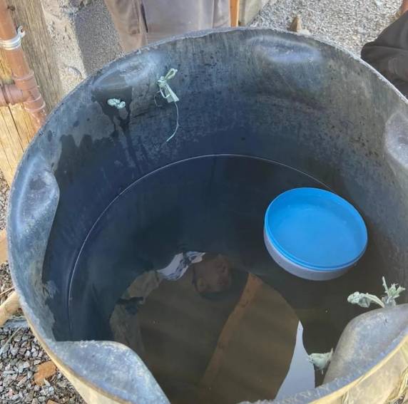 Venezuelanos com recém-nascidos e crianças são resgatados em condição análoga à escravidão em SC - foto 3