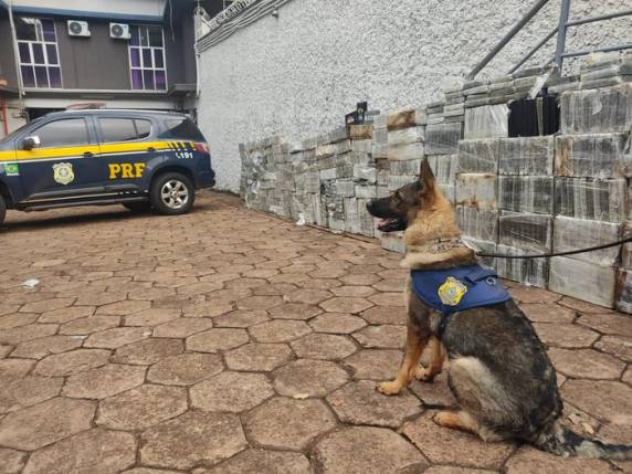Quase duas toneladas da droga foram encontradas em um caminhão-tanque em Sidrolândia, no Mato Grosso do Sul