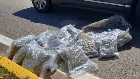 Droga é uma versão mais potente da maconha e estava no porta malas de um veículo abordado