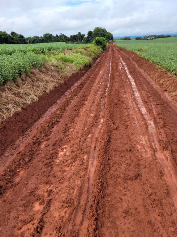 Motorista do transporte de leite reclama de lodo em estrada no interior de Três de Maio - foto 2