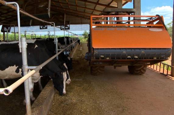Atualmente, são 423 instituições nesse modelo e mais de 3 milhões de associados que conseguem se manter no campo e fazer novos investimentos por meio delas