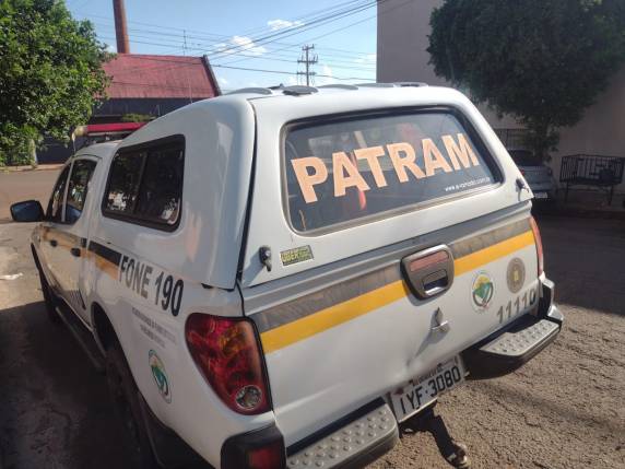 Polícia Ambiental de Santa Rosa (PATRAM) recolhe animal silvestre em Três de Maio - foto 3