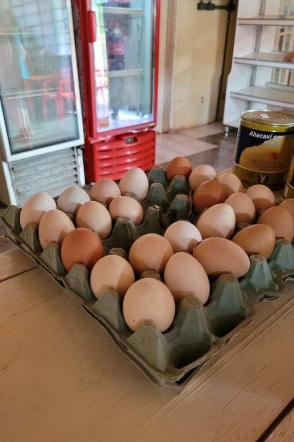 Cachaça, ovos, banha e veneno de rato: mais de meia tonelada de alimentos é apreendida em Sete de Setembro - foto 4