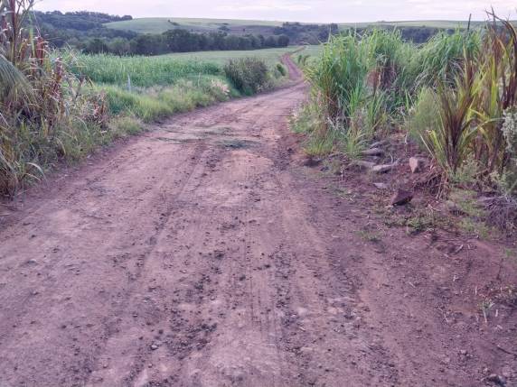 Estrada não recebe reparos a mais de 2 anos, diz morador de São Valério do Sul - foto 3