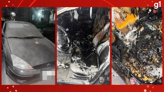Delegada responsável pela investigação classifica o incêndio como criminoso e avalia que ação é uma represália à área de atuação da advogada. Presidente da OAB-RS acompanha a apuração.