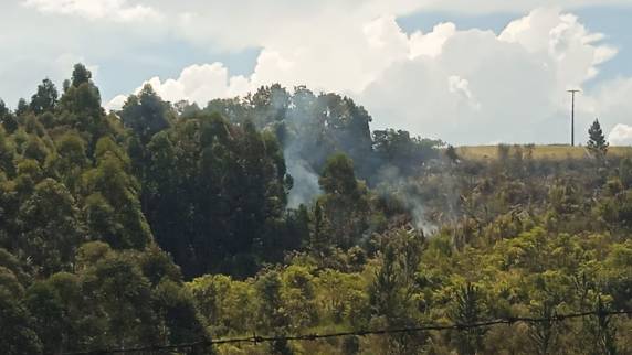 Brigada Militar e Corpo de Bombeiros foram acionados para combater o fogo na localidade de Monte Belo