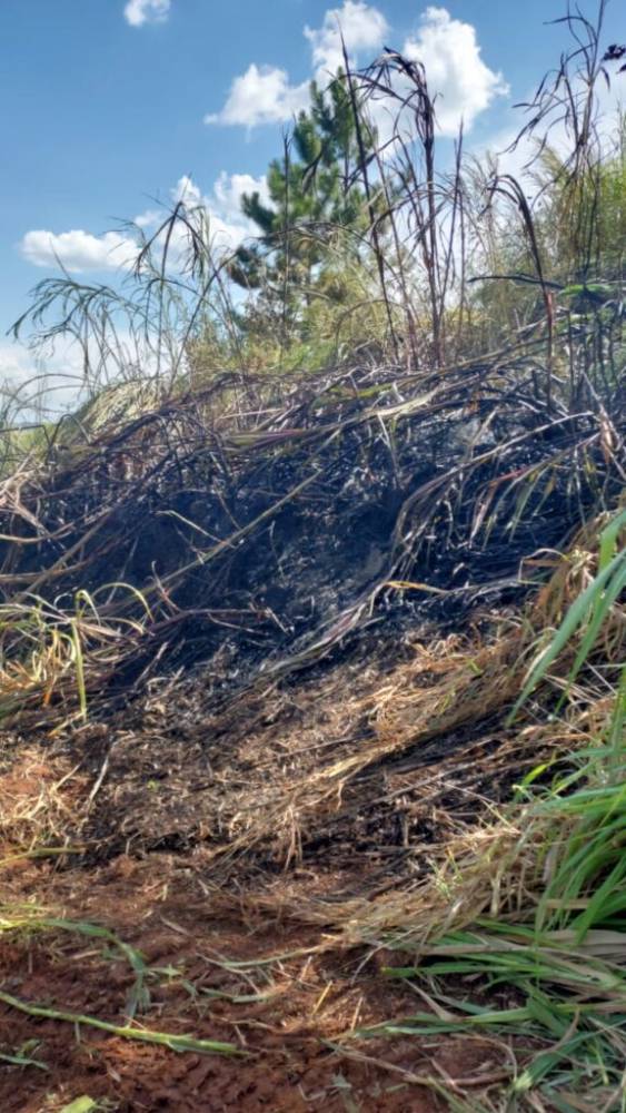 Brigada Militar e Corpo de Bombeiros foram acionados para combater o fogo na localidade de Monte Belo