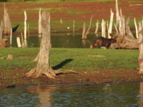 BM realiza operação de combate à caça ilegal e pesca predatória na Barragem de Ernestina - foto 2