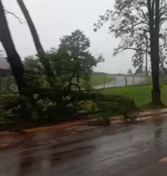Temporal da tarde de domingo, trouxe prejuízos em Panambi - foto 4