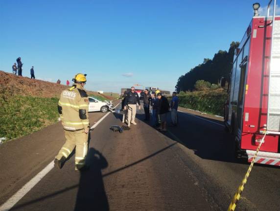 Acidente envolvendo cinco veículos causa um óbito na BR 285, em Passo Fundo - foto 3