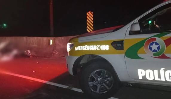 Acidente aconteceu em Itajaí, no Litoral Norte. Segundo a Polícia Militar Rodoviária, animal possuía brinco de identificação.