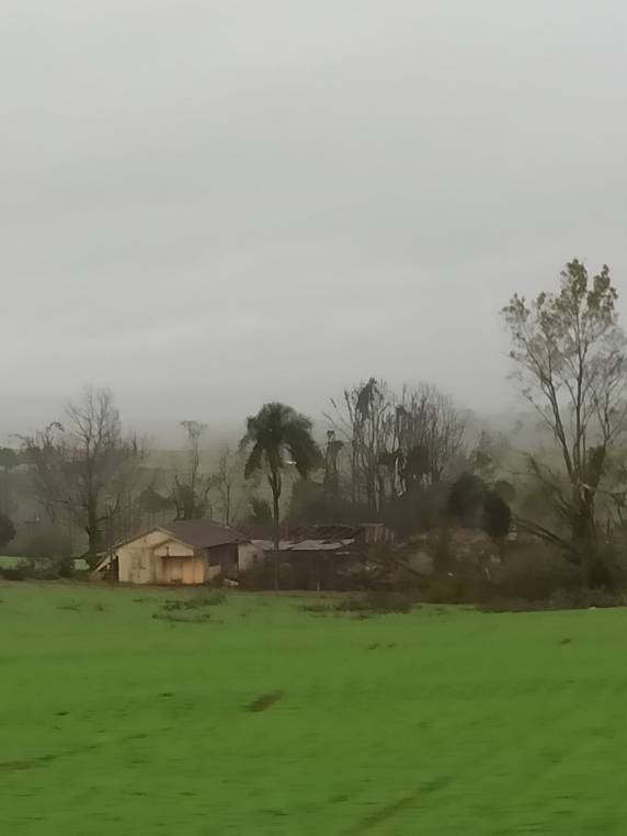 Vendaval atinge região causando destelhamentos e danos na rede elétrica - foto 4