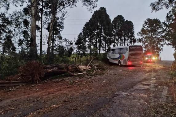 Sete pessoas ficam feridas após ônibus ser atingido por árvore e sair da pista em Tapejara - foto 4