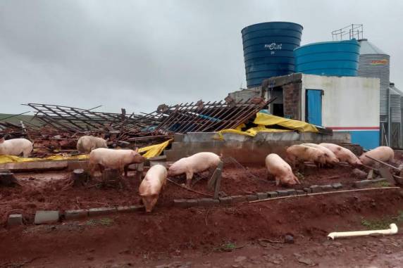 Com 1,2 mil desalojados, Sede Nova tem R$ 56 milhões em prejuízo após ciclone - foto 4
