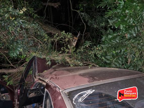 Casal e criança ficam feridos em acidente na BR-472 em Três de Maio - foto 3