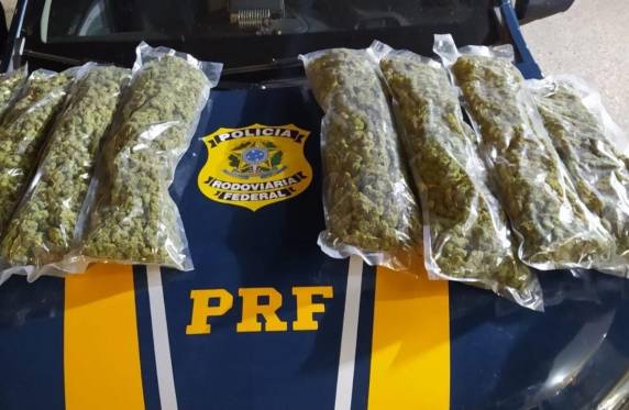 "Droga conhecida como supermaconha seria levada de ônibus para Porto Alegre; mulher é presa em flagrante pela PRF."