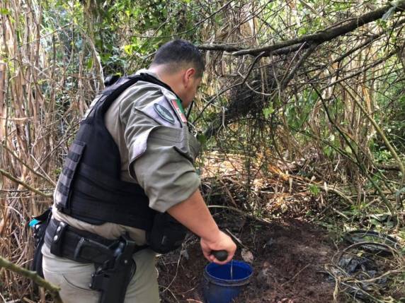 Dois homens foram presos no local. Três crianças que estavam na residência foram encaminhadas ao Conselho Tutelar. Origem das armas será investigada.