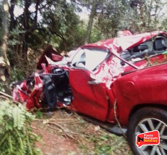 Motorista ficou ferido e foi socorrido para o hospital