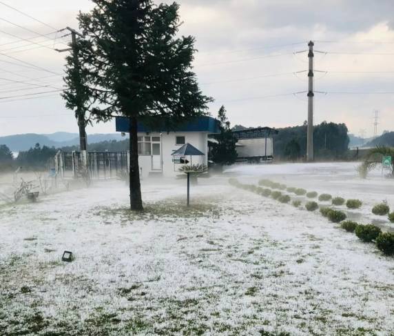 Chuva de granizo deixa camada volumosa de gelo em cidade de SC: 'Afundou o calçado' - foto 2