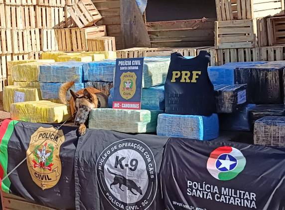 Paraguaio é preso com quase duas toneladas de maconha na BR-280 em Canoinhas