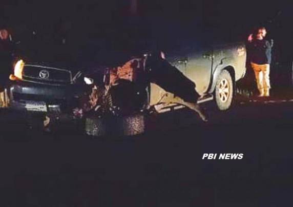 O condutor da camionete Hilux e dois caronas não se feriram.