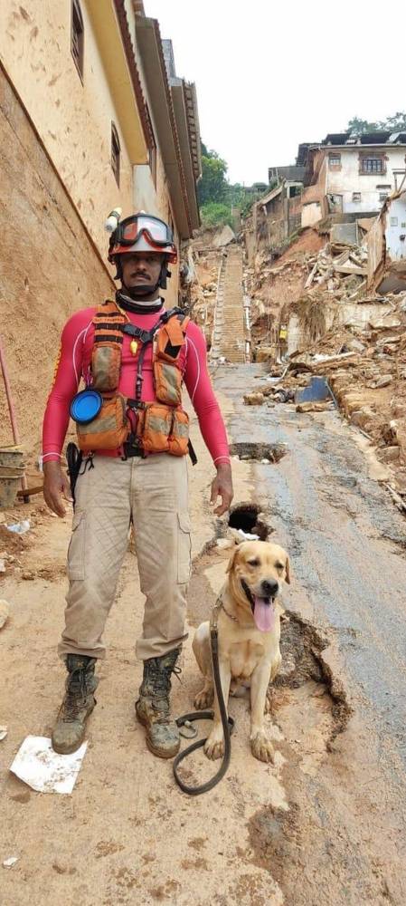 Cachorro que atuava na busca por desaparecidos no Vale do Taquari sofre acidente e morre - foto 3