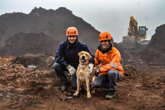 Cachorro que atuava na busca por desaparecidos no Vale do Taquari sofre acidente e morre - foto 4