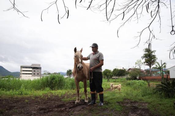 Comprador da égua Shakira paga para que animal siga com a família em Roca Sales - foto 3